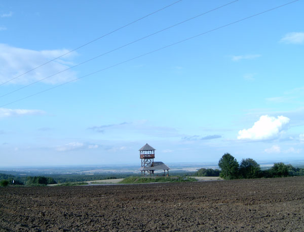 Keltská Boika