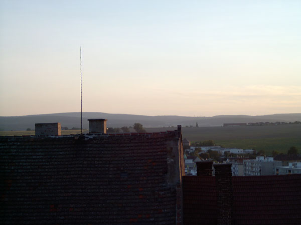 Los cominos